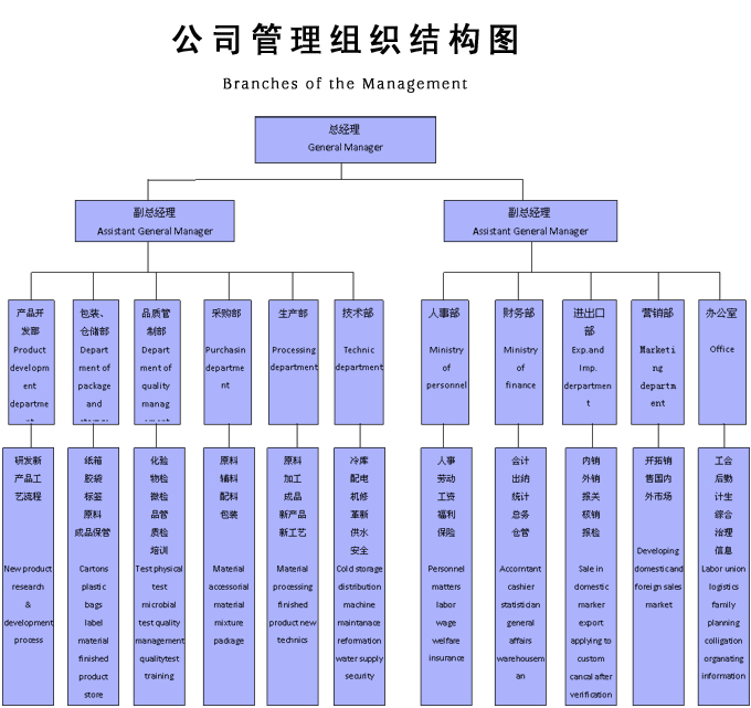 组织架构